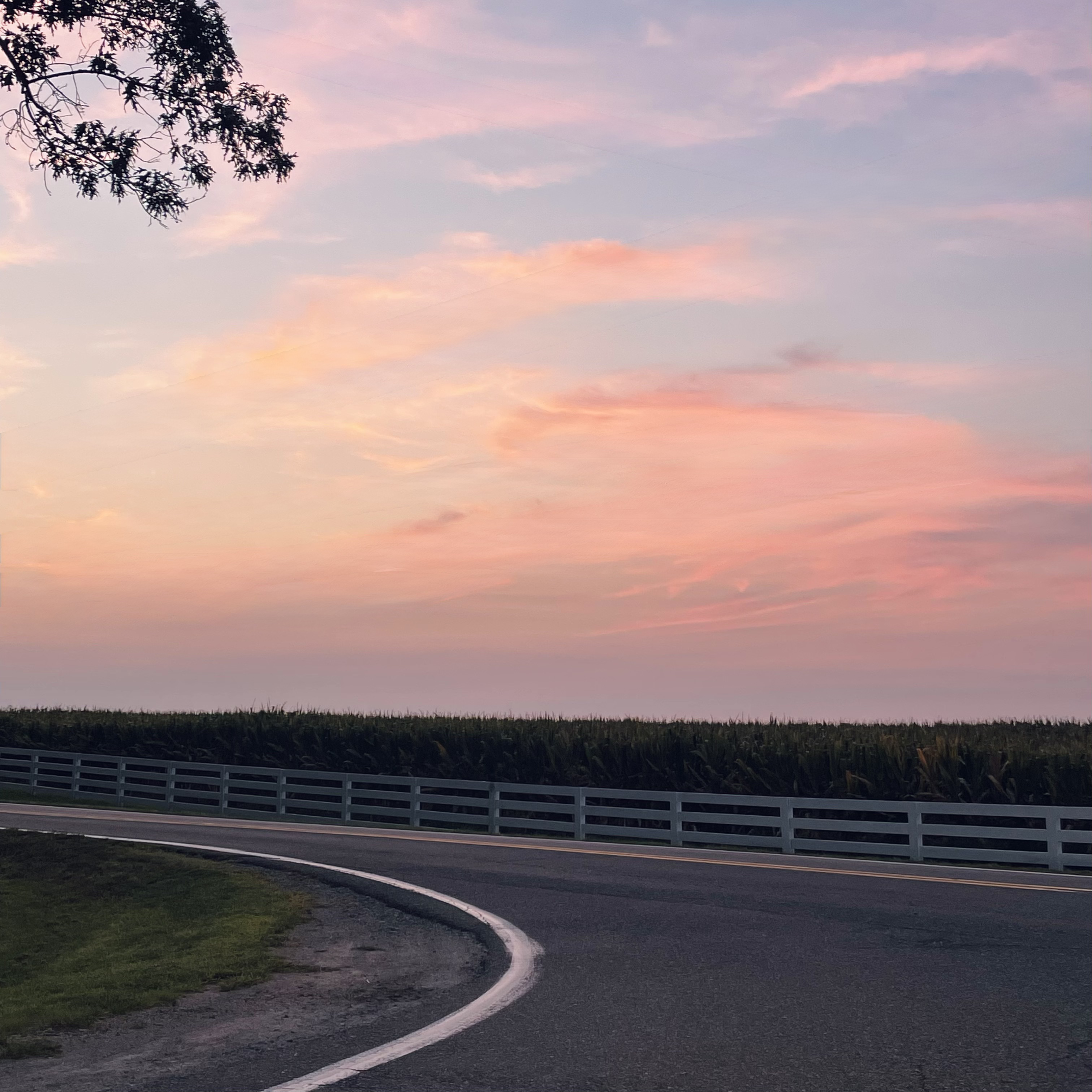 A country road in New Kent county