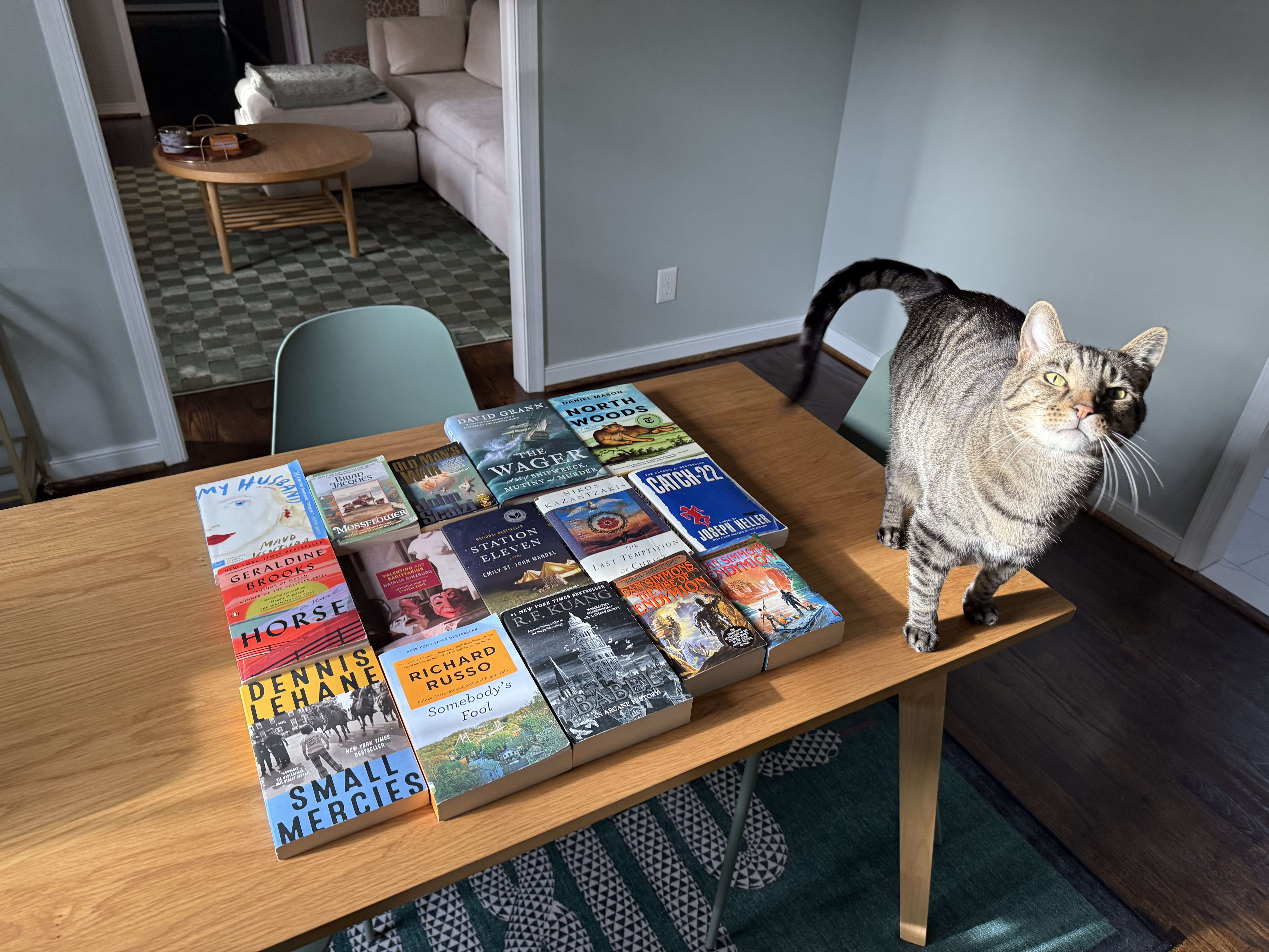 My book stacks featuring Meatball the cat